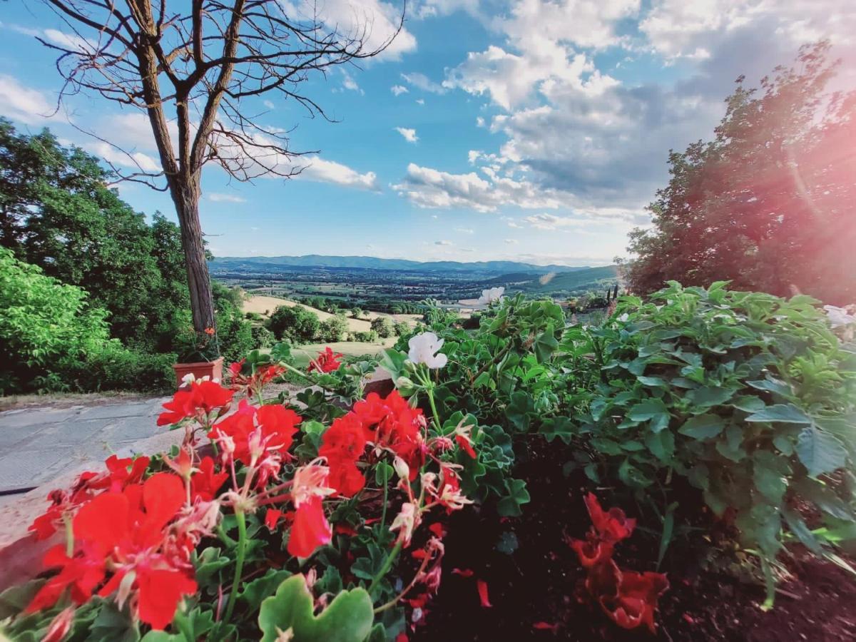 Al Podere Del Nonno Romolo Sansepolcro Buitenkant foto