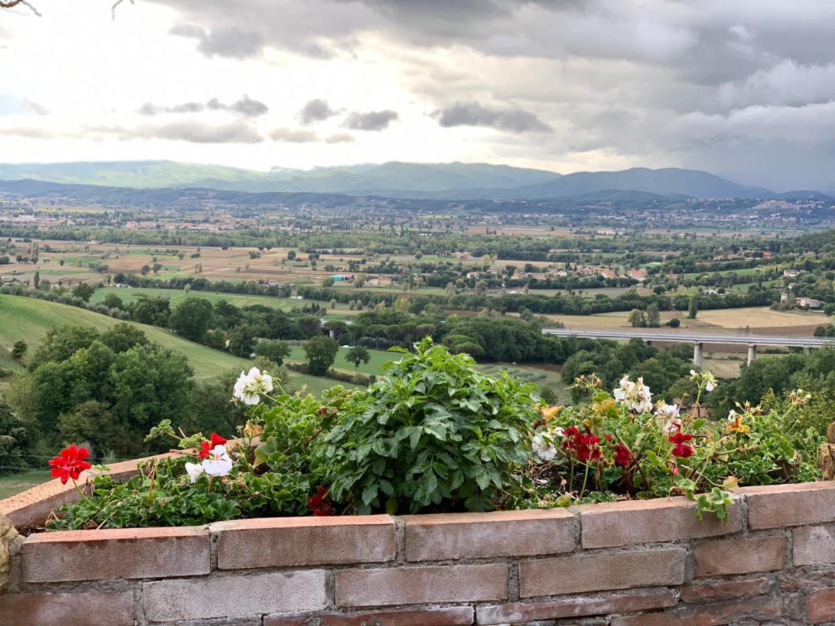 Al Podere Del Nonno Romolo Sansepolcro Buitenkant foto
