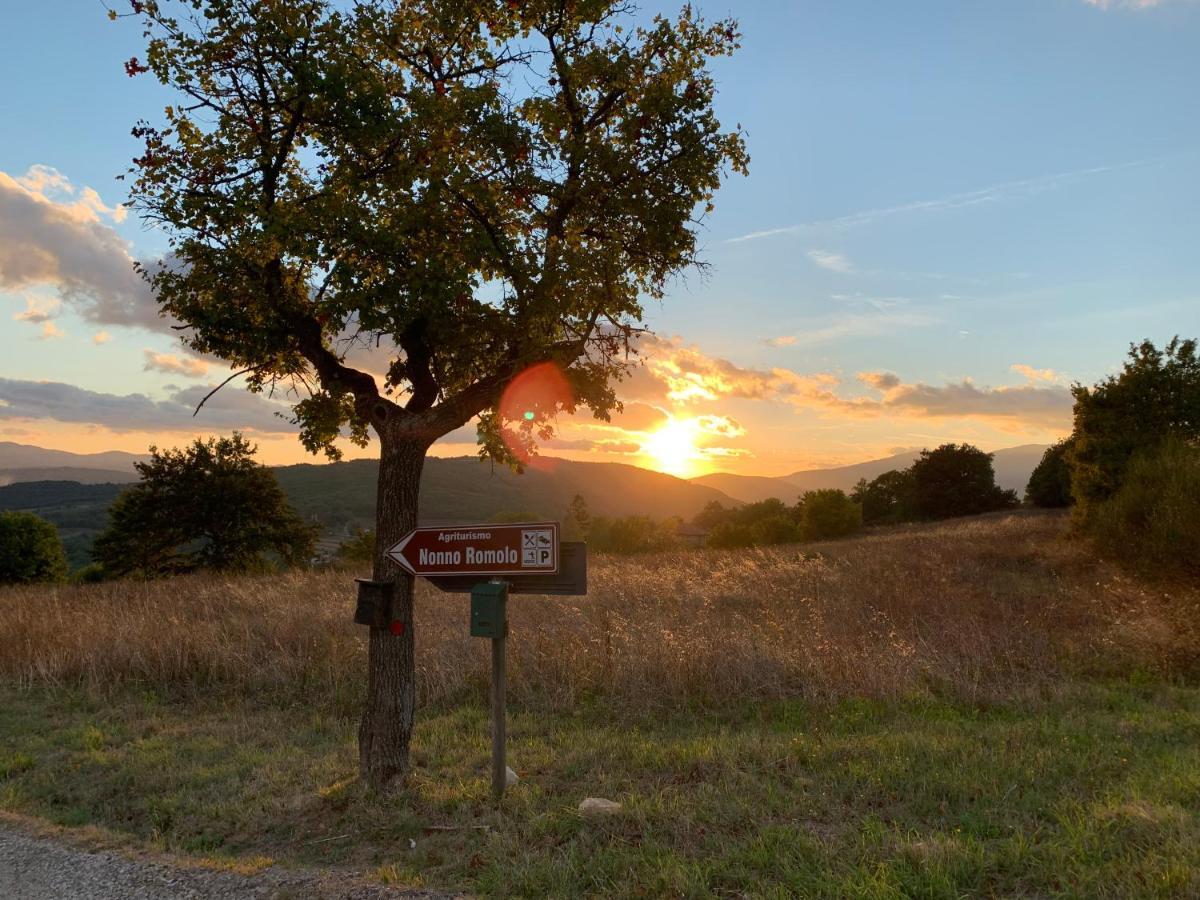 Al Podere Del Nonno Romolo Sansepolcro Buitenkant foto