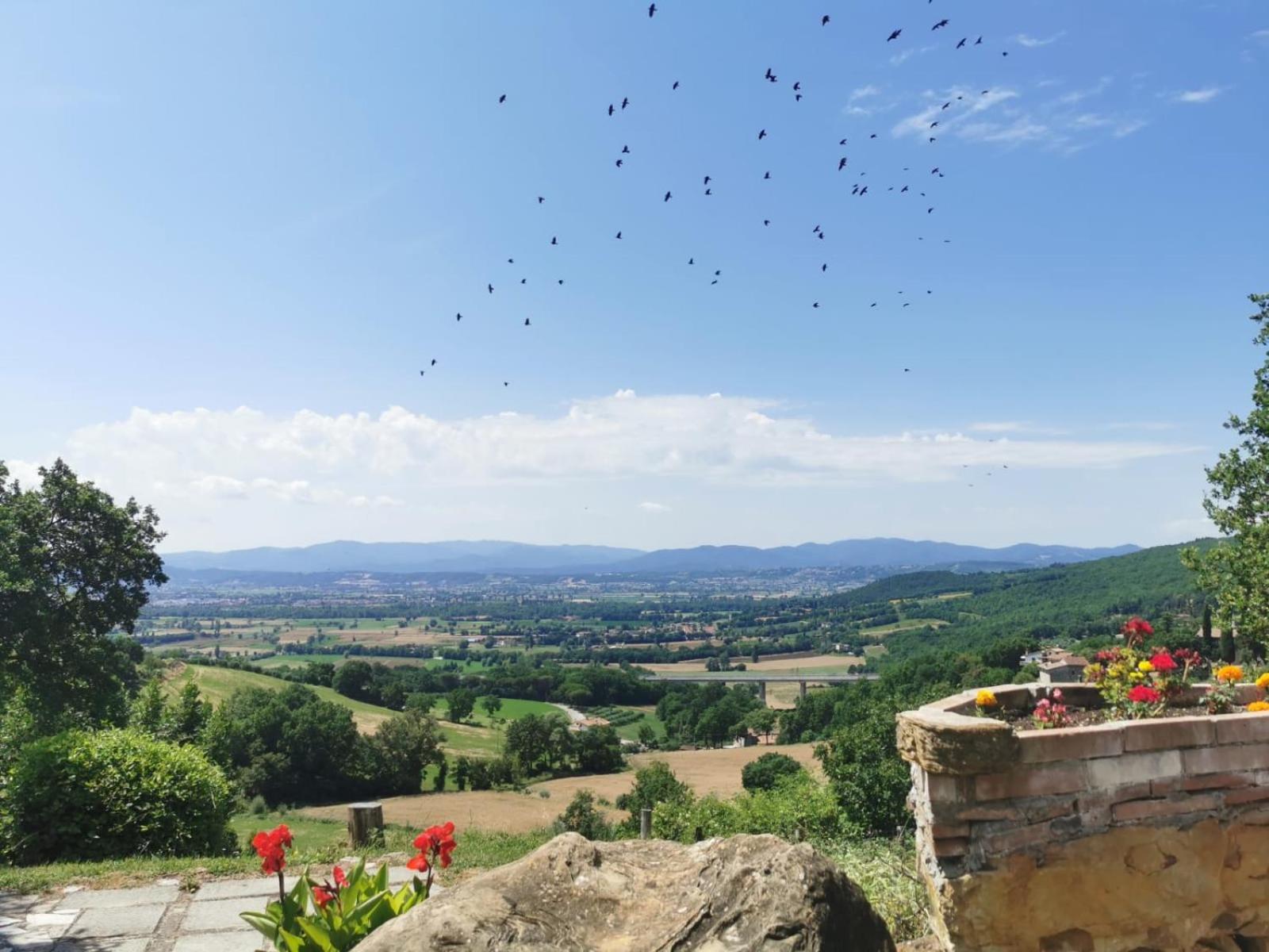 Al Podere Del Nonno Romolo Sansepolcro Buitenkant foto